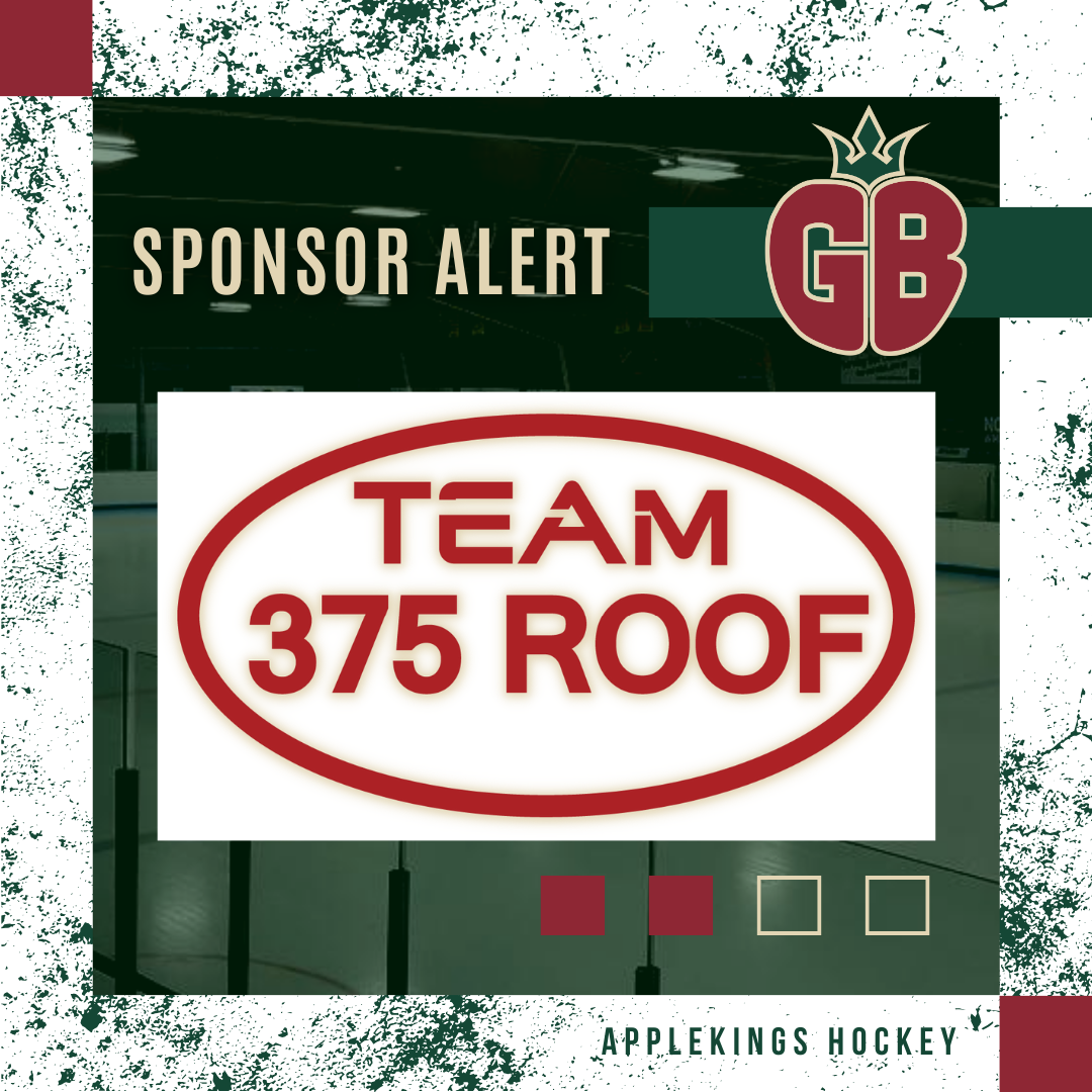 Team 375 Roof